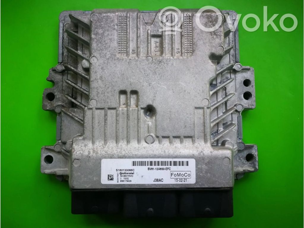 Ford Focus Engine control unit/module ECU 