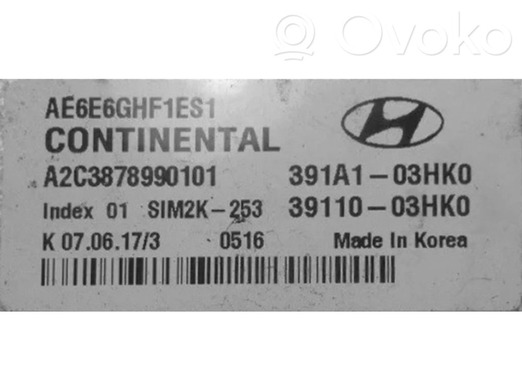 Engine control unit/module ECU   391A103HK0,A2C3878990101