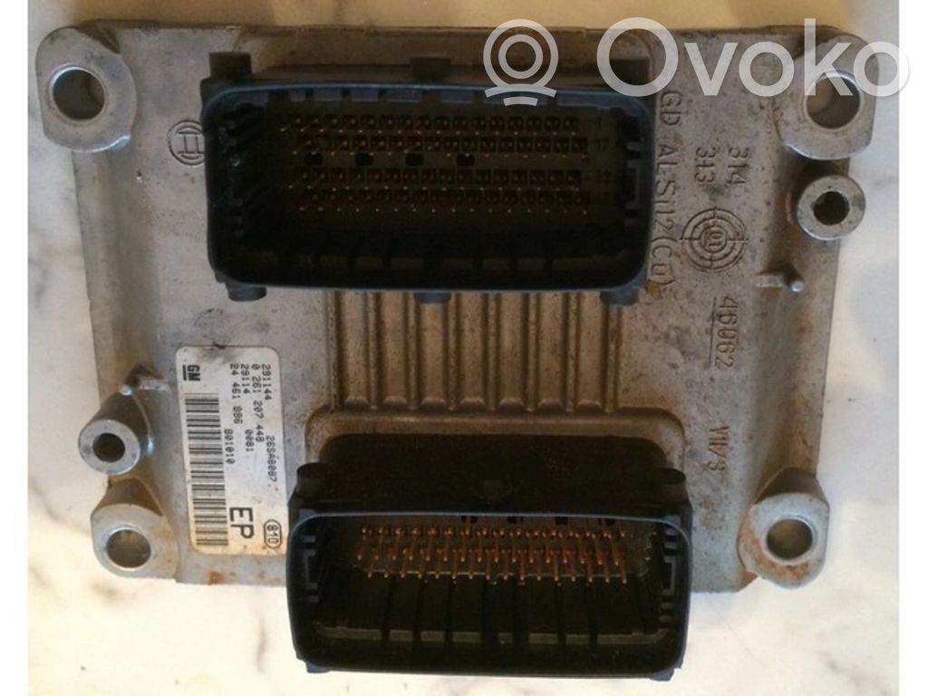 Engine control unit/module ECU   24461886,0261207448