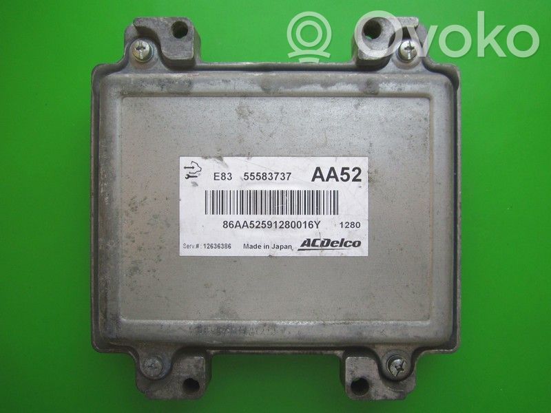 Engine control unit/module ECU   55583737,AA52