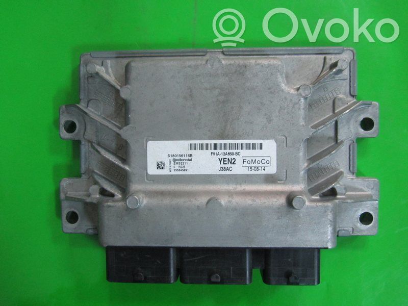 Ford B-MAX Engine control unit/module ECU 