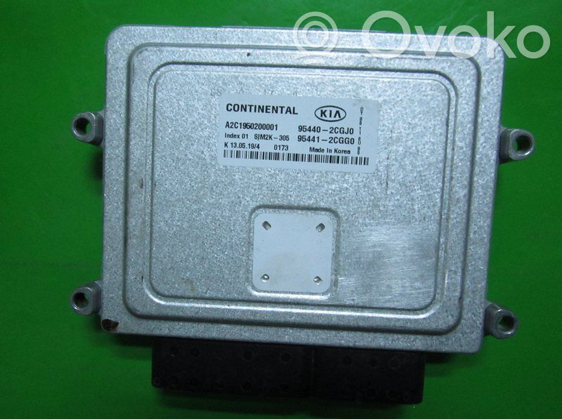 Engine control unit/module ECU   954412CGG0,A2C195020001