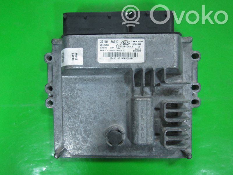 Engine control unit/module ECU   391402A210,28486103