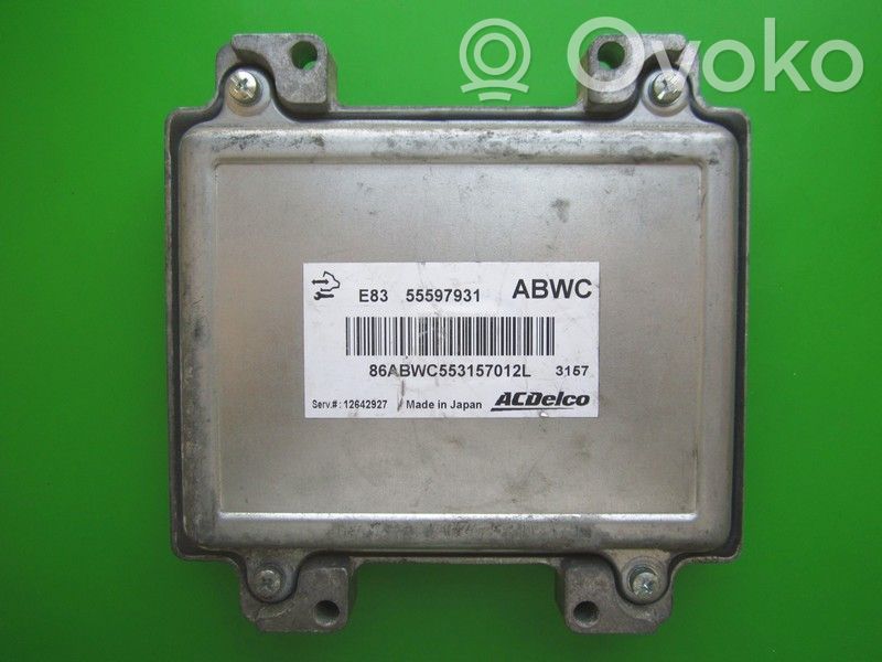 Engine control unit/module ECU   55597931,ABWC