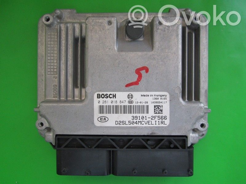 Engine control unit/module ECU   391012F566,0281018847