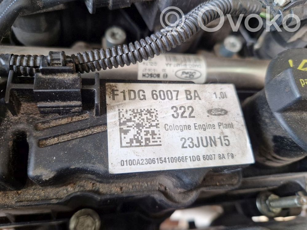 Ford C-MAX II Engine 