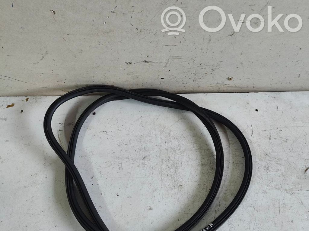 Trunk rubber seal (body)