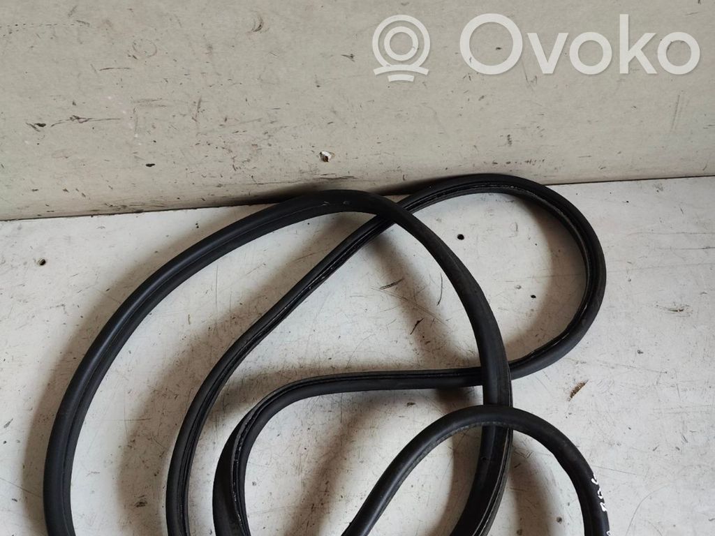 Trunk rubber seal (body)