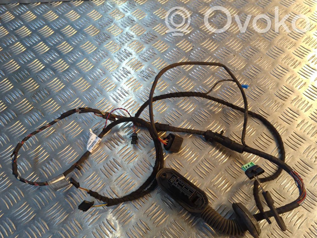 BMW 5 E60 E61 Cableado de puerta delantera 