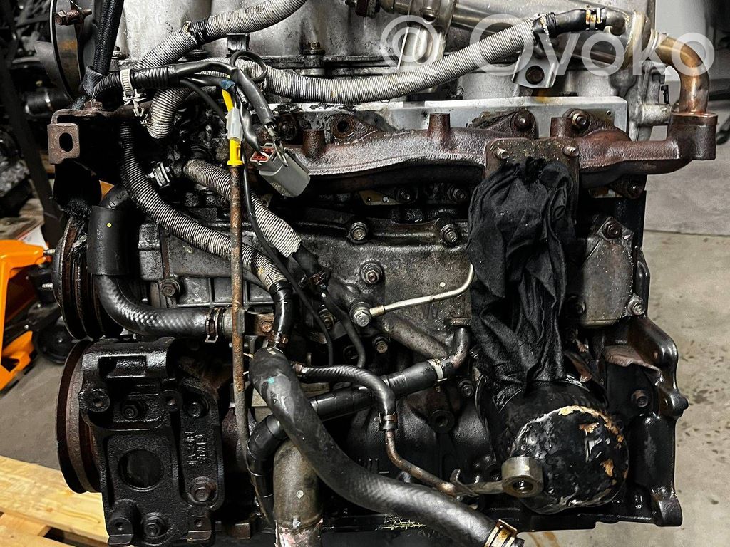 Motor completo   WLT,WLT