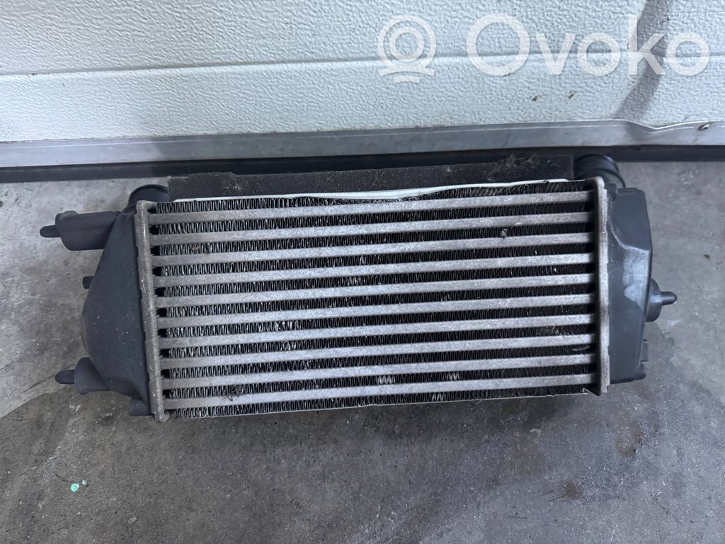 Ford Ecosport Interkūlerio radiatorius 