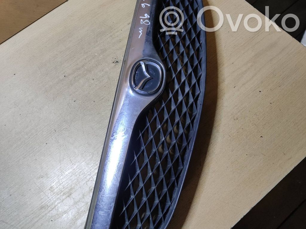 Front grill   4V50719
