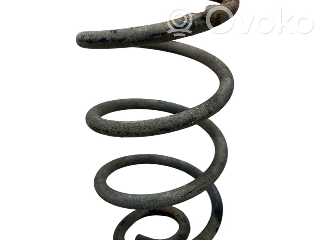 Rear coil spring