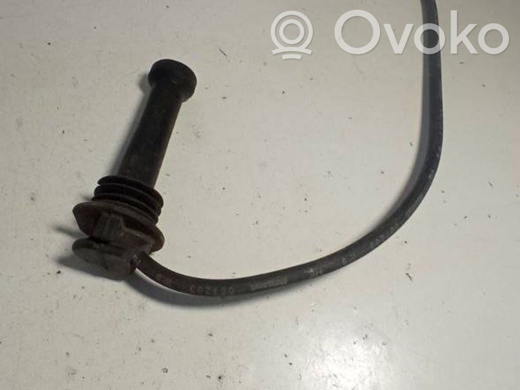 Ignition plug leads   097203