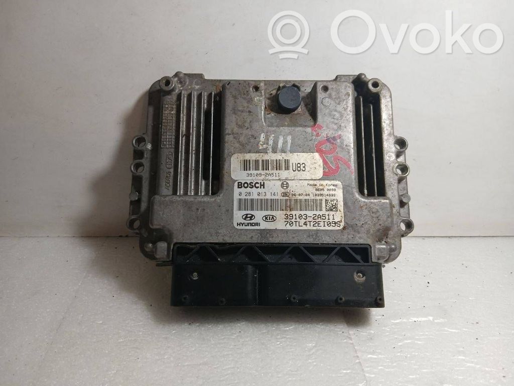 Hyundai Getz Engine control unit/module 