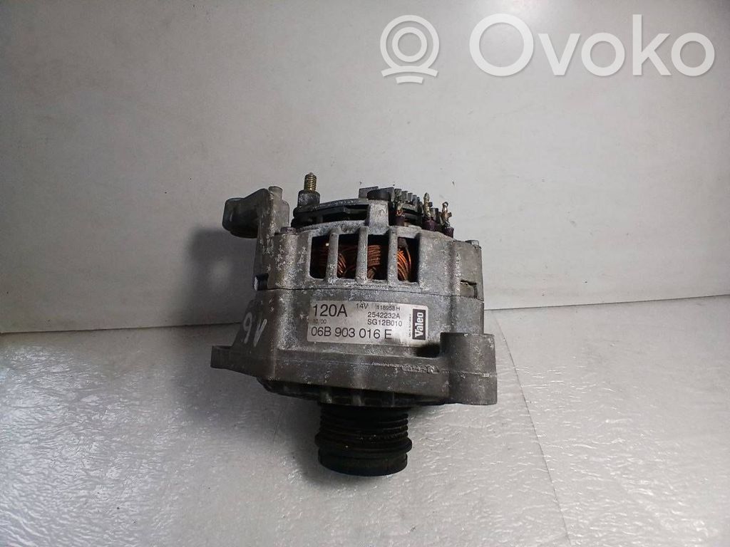 Alternator   06B903016E,118958H,2542232A,SG12B010