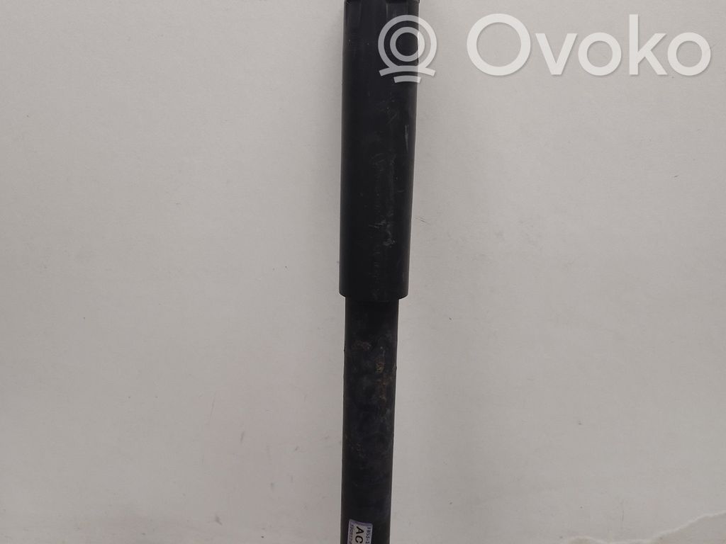 Ford Explorer VI Stoßdämpfer hinten 