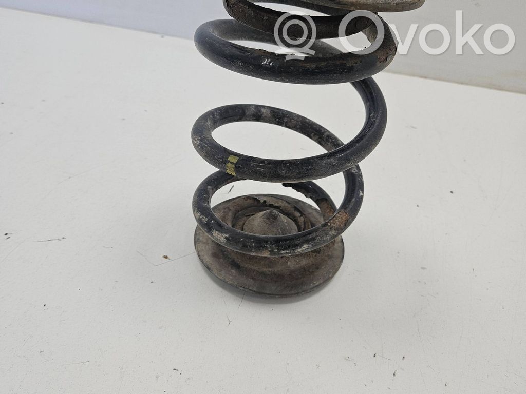 Rear coil spring