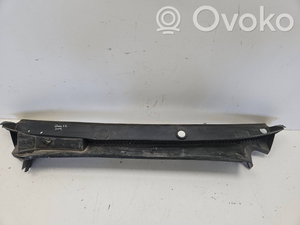 Windshield trim   9643079777,9643596877