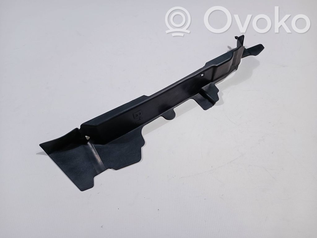 Radiator trim   DA838A261BE