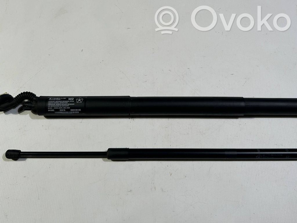 Dodge Durango III Tailgate strut 