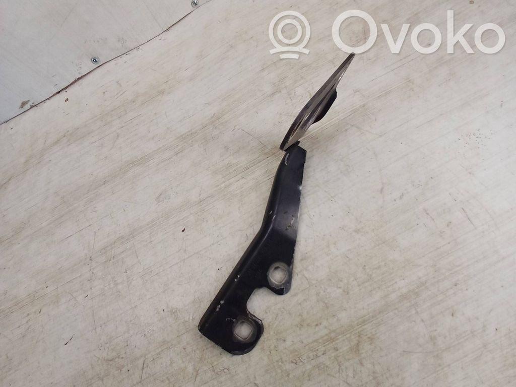 Opel Vectra C Dzinēja pārsega eņģe (-es) 