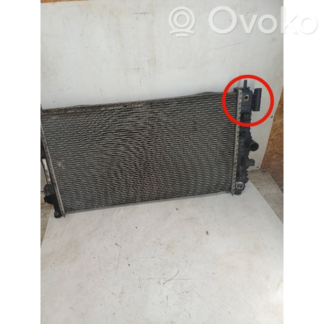 Opel Insignia A Aušinimo skysčio radiatorius 