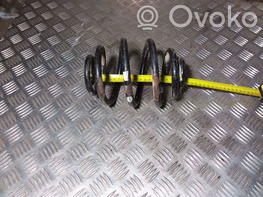 Rear coil spring