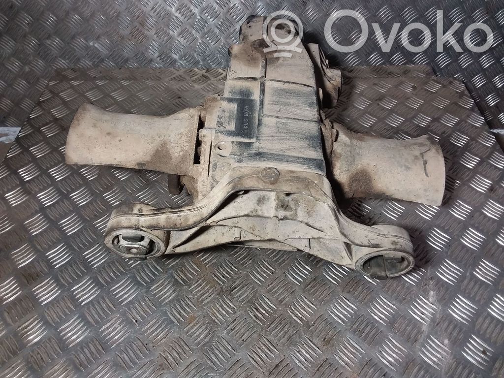 Volkswagen PASSAT B5 Galinis reduktorius 