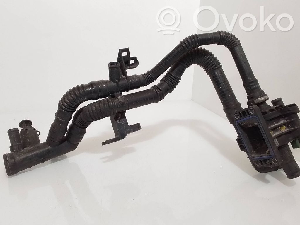 Citroen C5 Caurulīte (-es) / šļūtene (-es) 