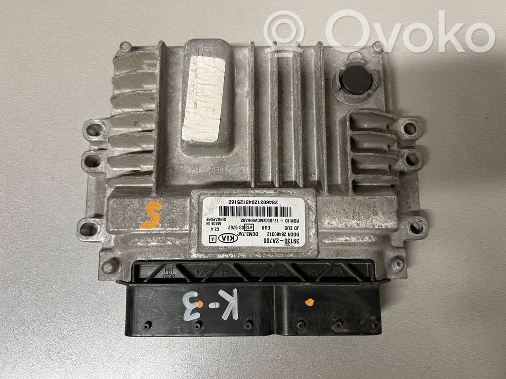 Engine control unit/module   391302A700,28460312,28460312043125162