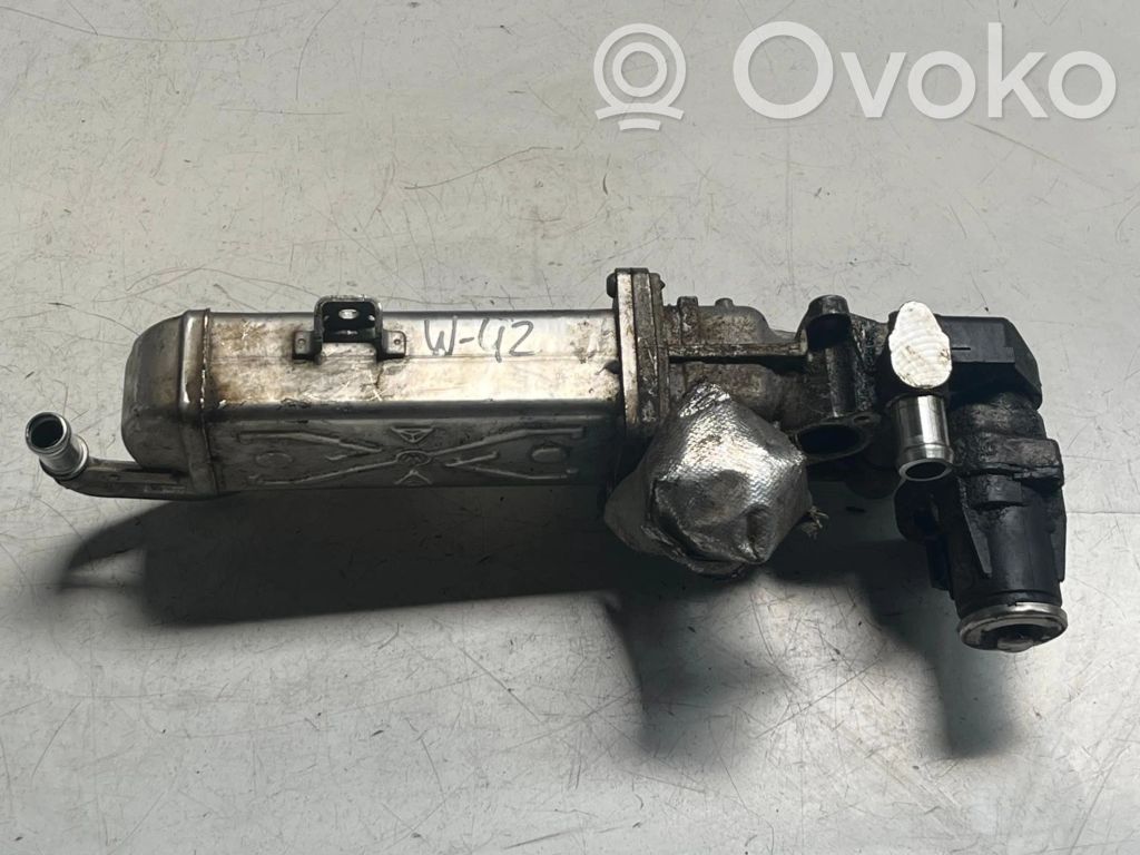 Volkswagen Golf VI Chłodnica spalin EGR 