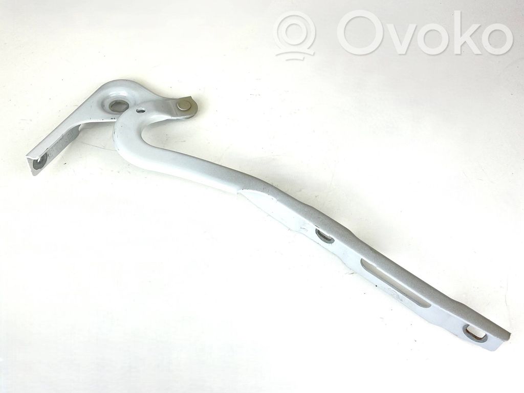 Citroen Berlingo Engine bonnet/hood hinges 