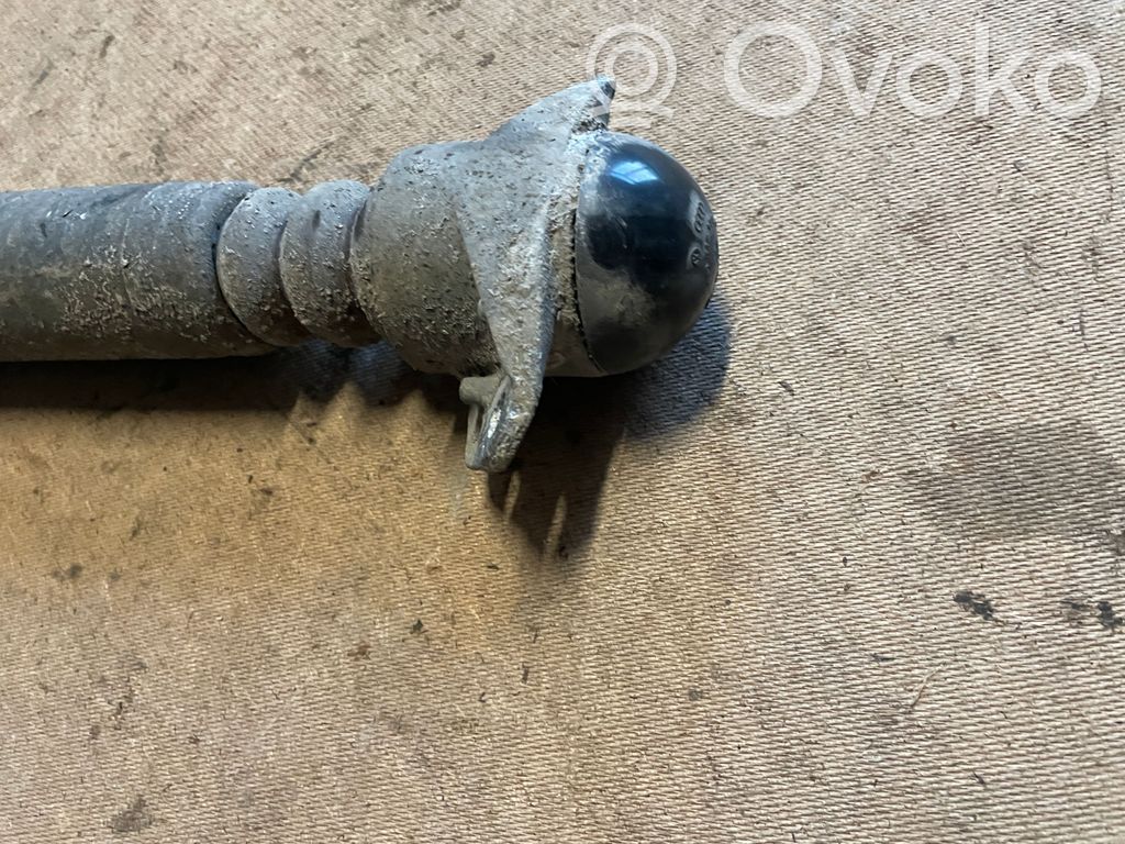 Stoßdämpfer hinten