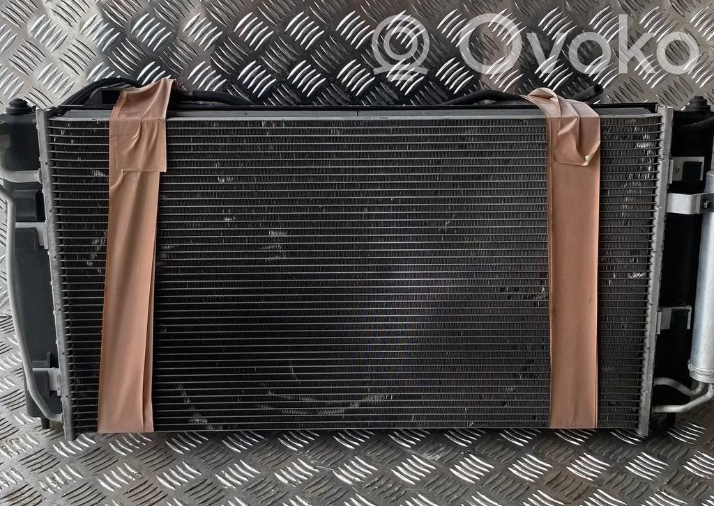 Nissan Leaf I (ZE0) Radiator lichid răcire 