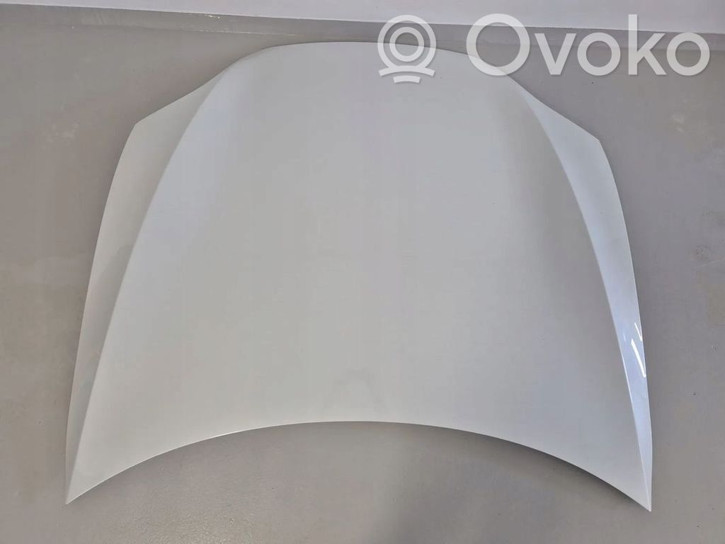 Tesla Model S Dzinēja pārsegs (vāks) 