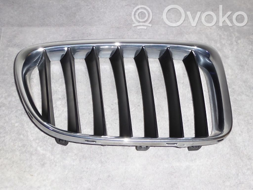 Front grill   51112993308,51112993308