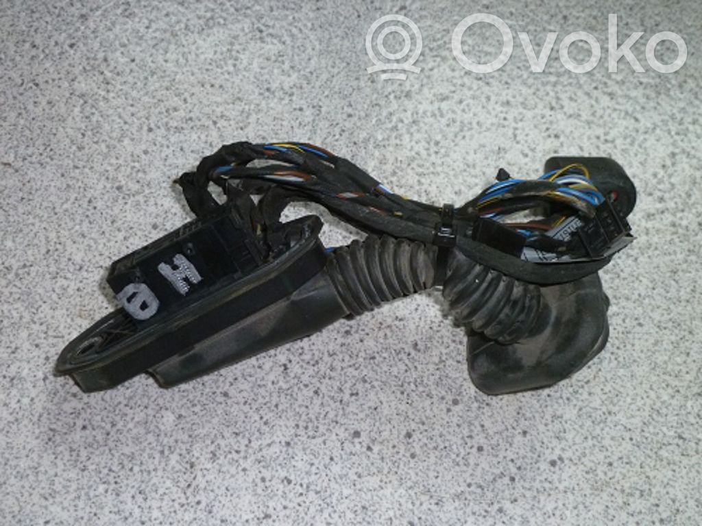 BMW 5 E60 E61 Cableado de puerta trasera 