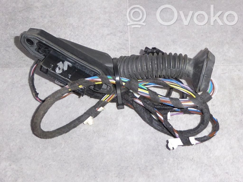 BMW X1 E84 Cableado de puerta trasera 