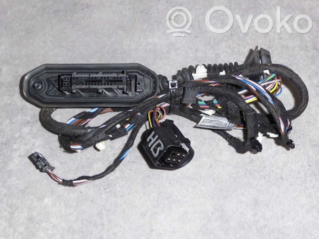 BMW X1 E84 Cableado de puerta trasera 