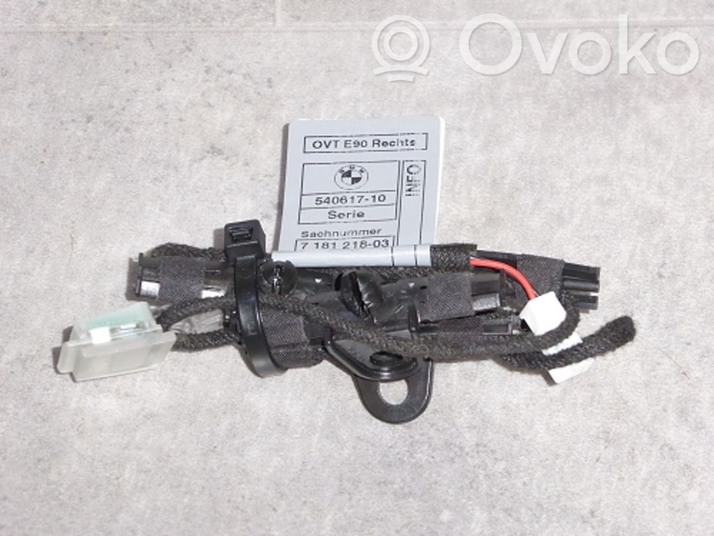 BMW X1 E84 Luz de manecilla de puerta (externa) 
