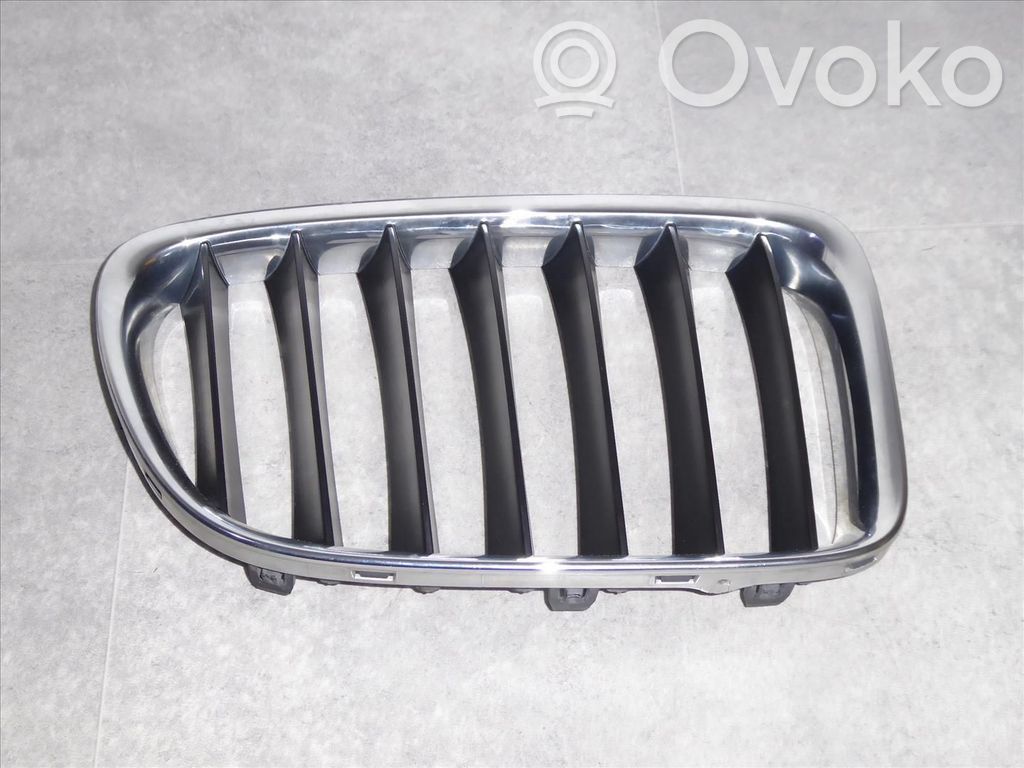 BMW X1 E84 Front grill 