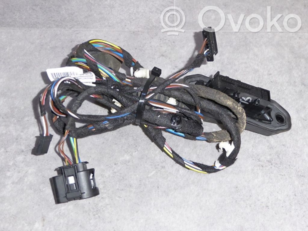 BMW X1 E84 Cableado de puerta trasera 