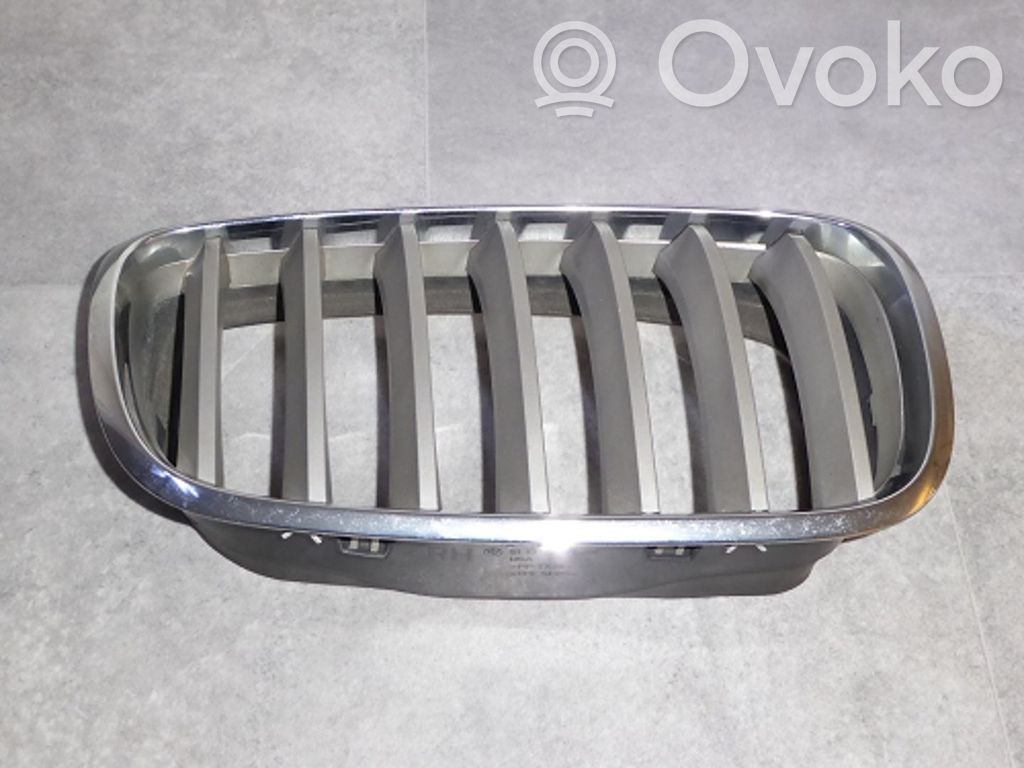 Front grill   51137185224,51137185224