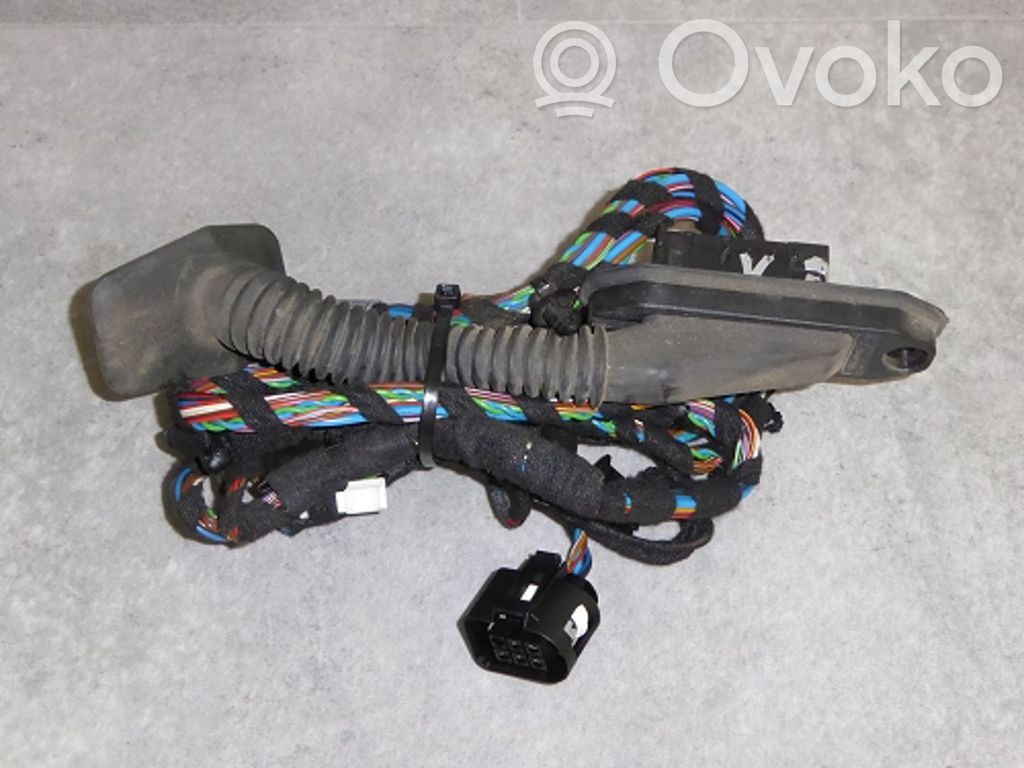 BMW X5 E70 Cableado de puerta trasera 