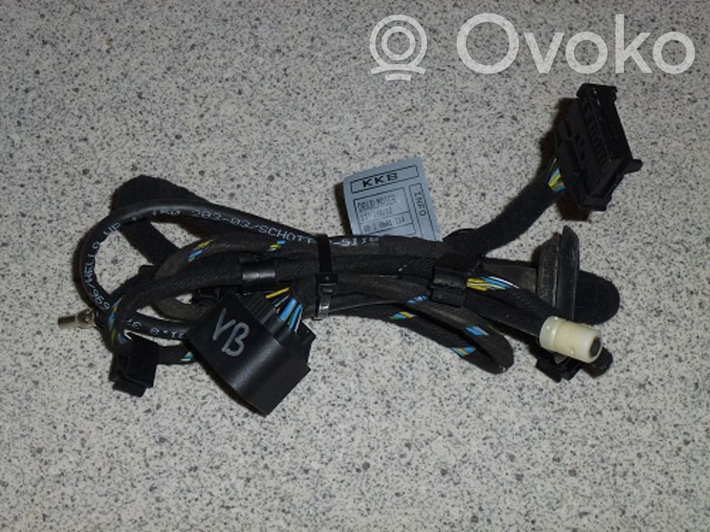 BMW 7 E65 E66 Cableado de puerta trasera 