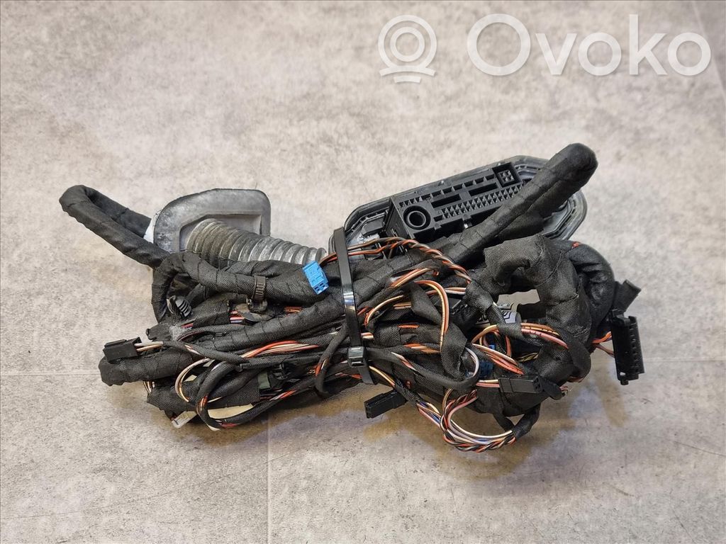 BMW 5 F10 F11 Wiązka przewodów drzwi przednich 