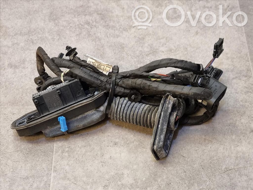 BMW 5 F10 F11 Wiązka przewodów drzwi przednich 
