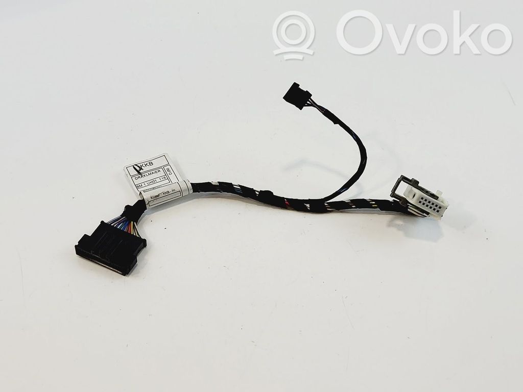 BMW X3 F25 Cablaggio porta anteriore