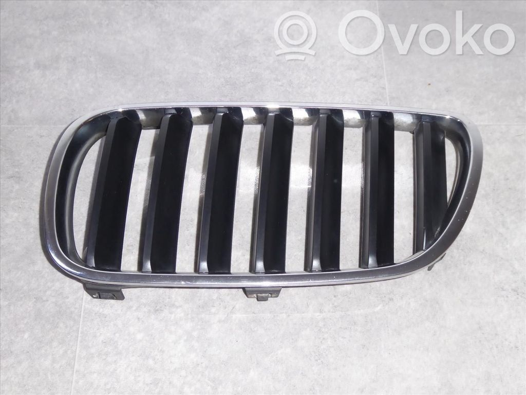 Grille calandre de capot   51113420087,51113420087
